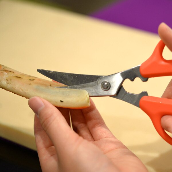 Image of Seafood Scissors 3