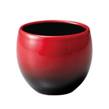Focus Cup
