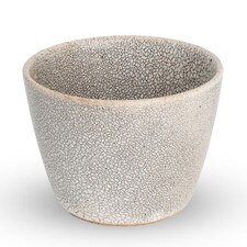Kokage Cup 3.5"