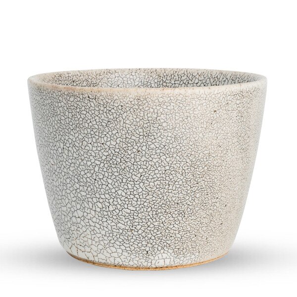 Image of Kokage Cup 3.5" 2