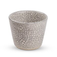 Gray Usurai Teacup