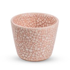 Pink Usurai Teacup