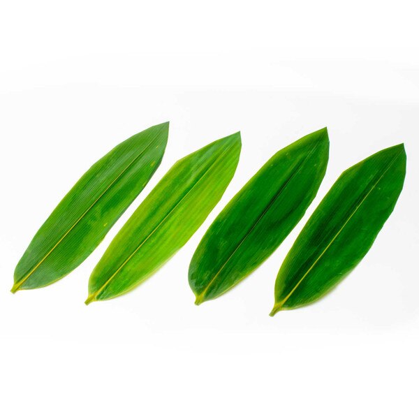 Image of Vacuum-Packed Bamboo Leaves 100 pcs 1