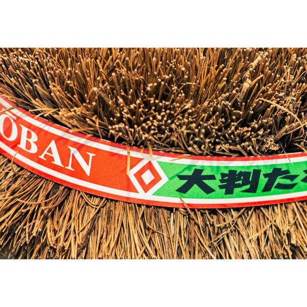 Image of Palm Scrubber Tawashi 3.8" 5